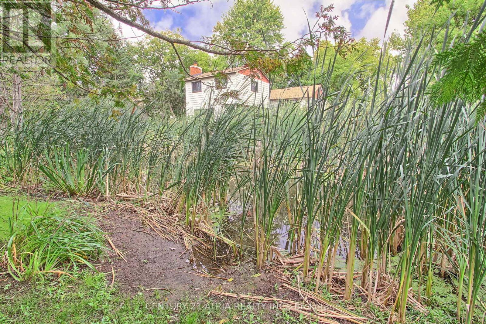 6 Penny Place, Richmond Hill, Ontario  L4E 2W4 - Photo 37 - N12387403