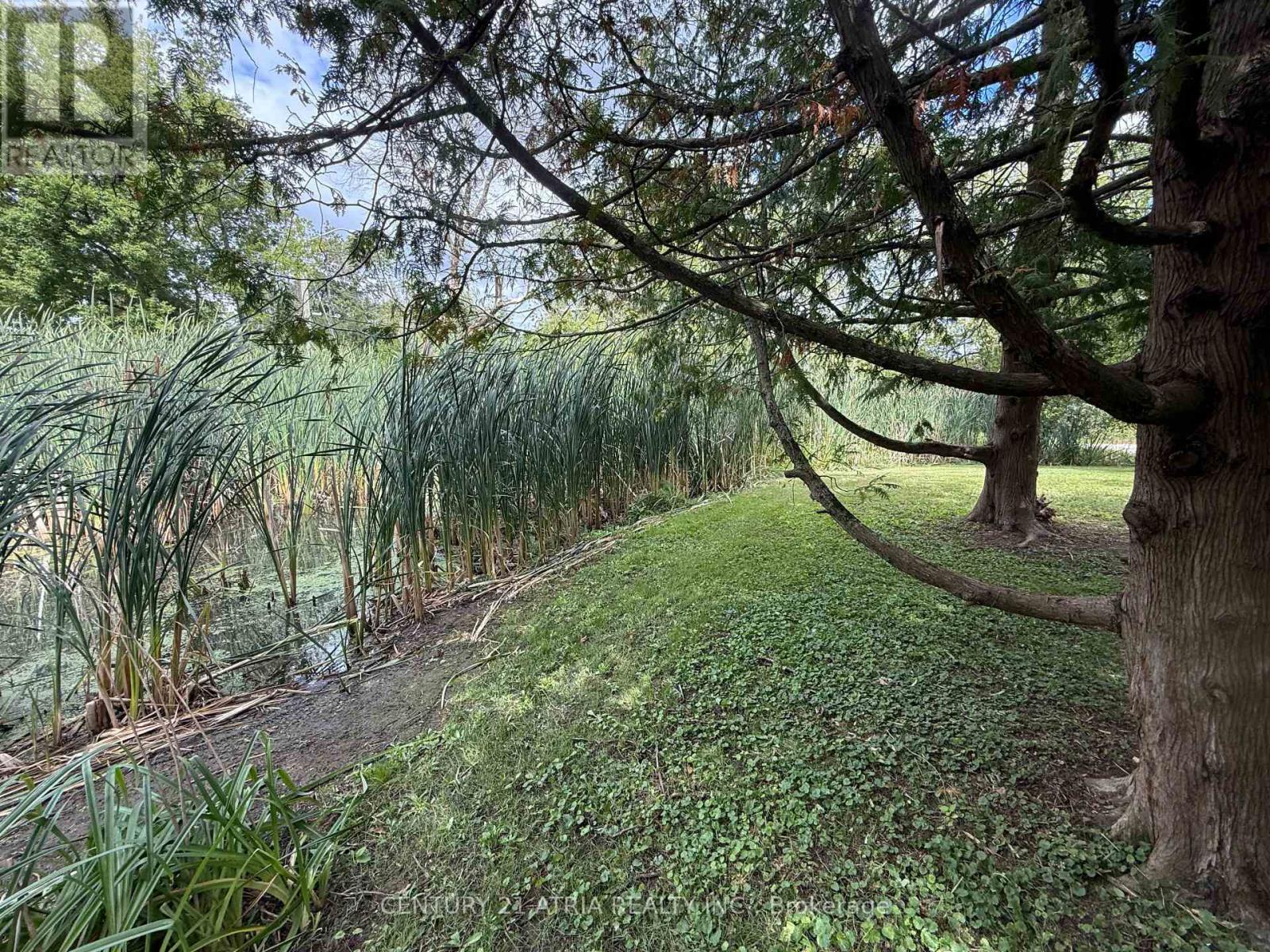 6 Penny Place, Richmond Hill, Ontario  L4E 2W4 - Photo 38 - N12387403