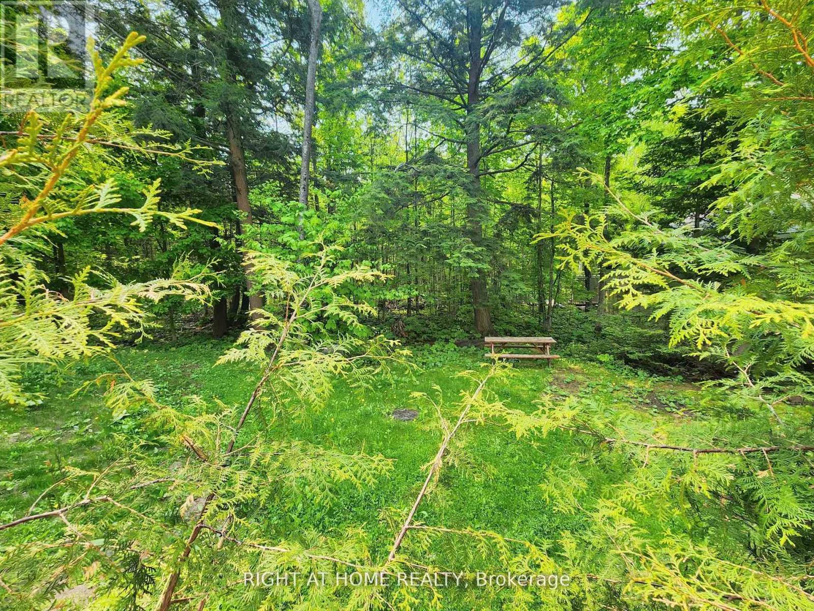 2384 Champlain Road, Tiny, Ontario  L9M 0C9 - Photo 18 - S12387419