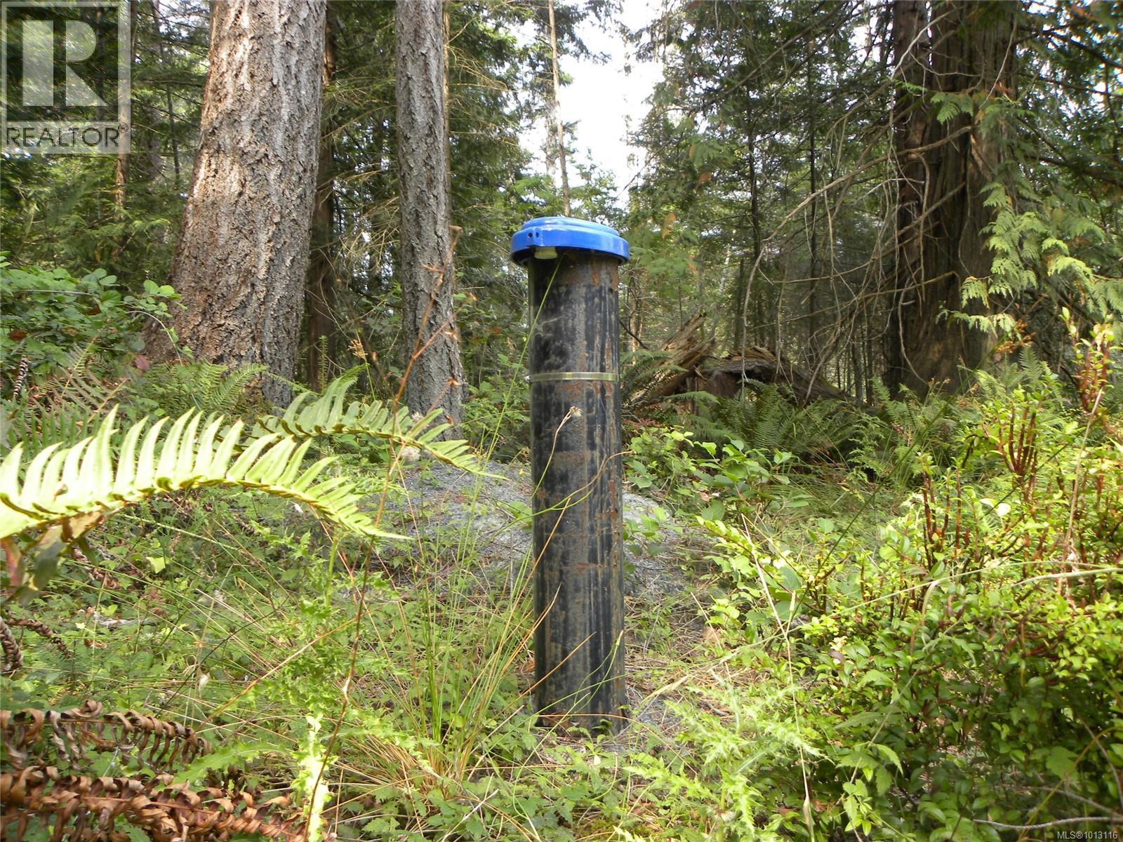 66 Spring Bay Rd, Lasqueti Island, British Columbia  V0R 2J0 - Photo 44 - 1013116