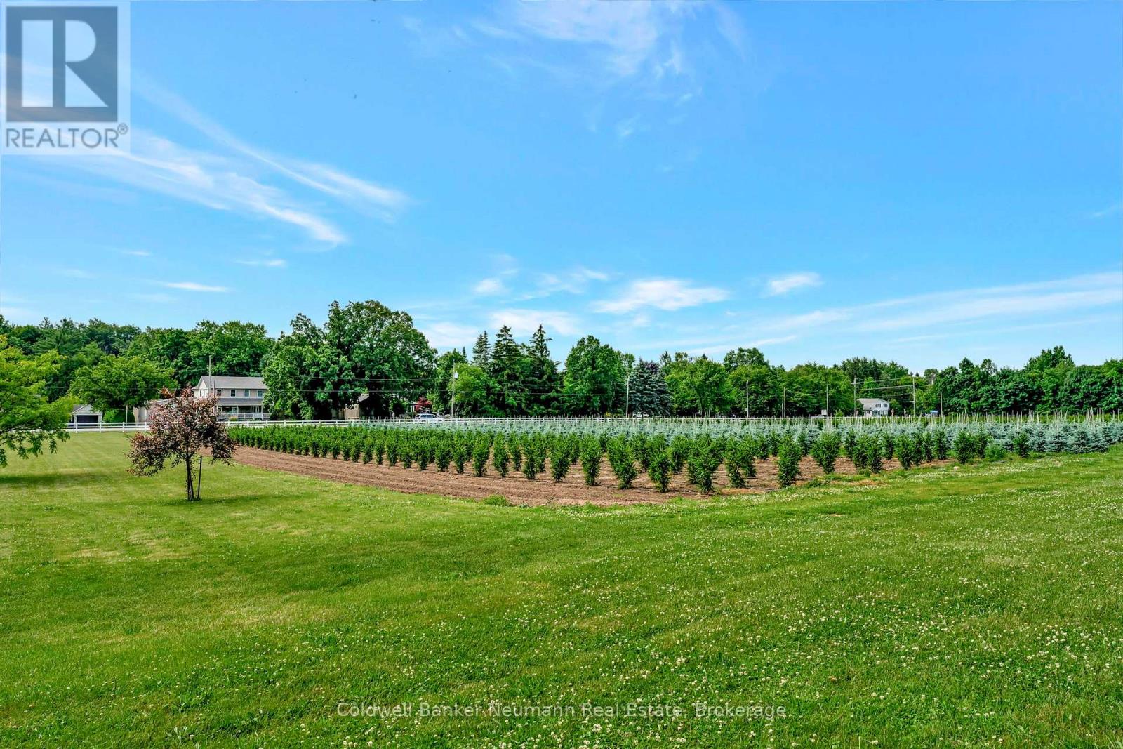 573 Parkside Drive, Hamilton, Ontario  L8B 0G7 - Photo 27 - X12387507