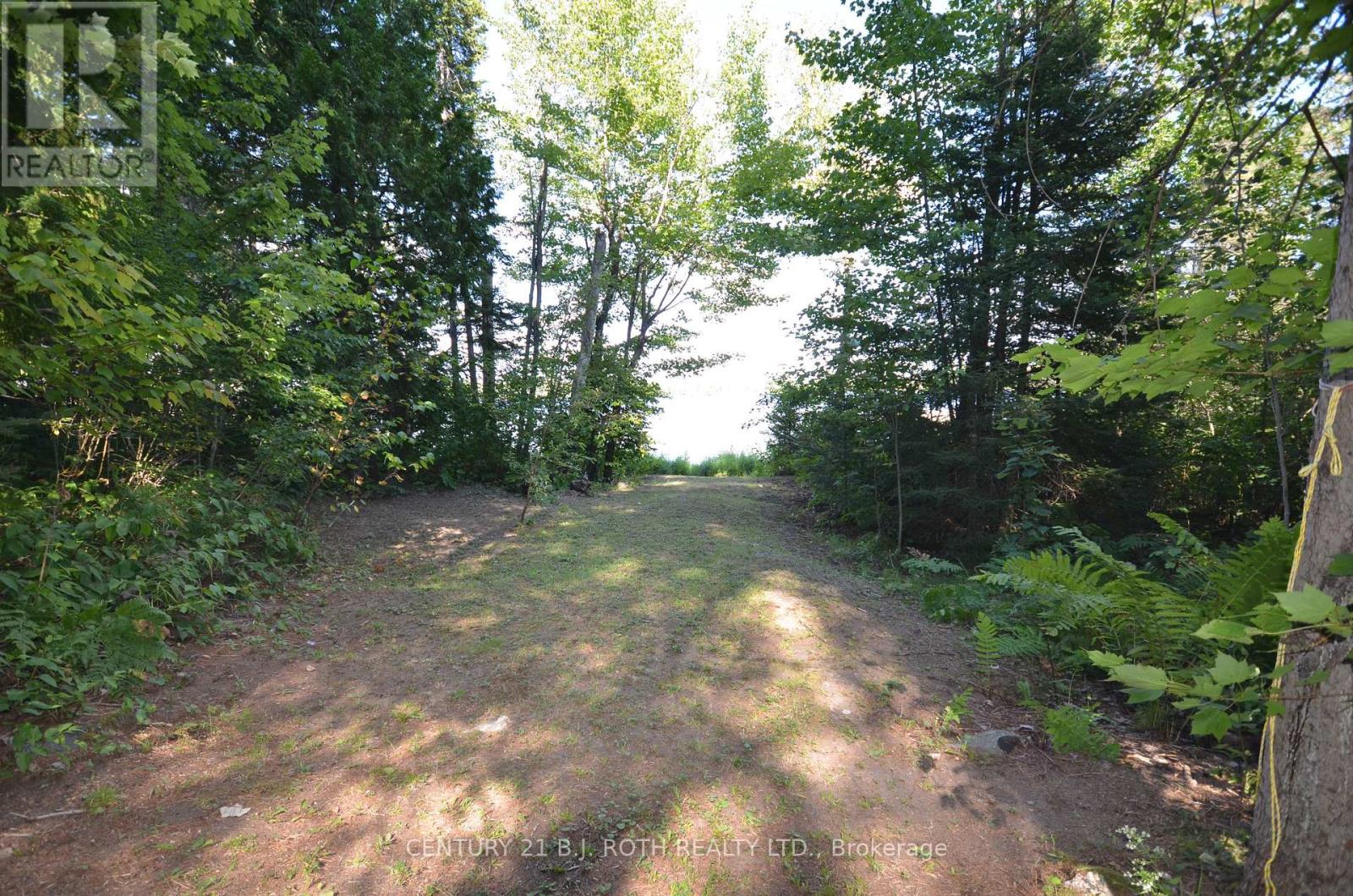 45 Lionel Road, West Nipissing (Verner), Ontario  P0H 2M0 - Photo 39 - X12387497