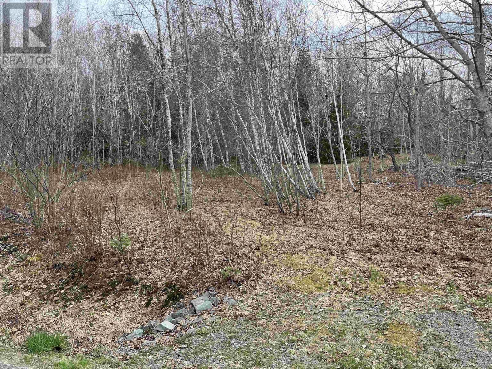 Lot 2 Sarty Road, Camperdown, Nova Scotia