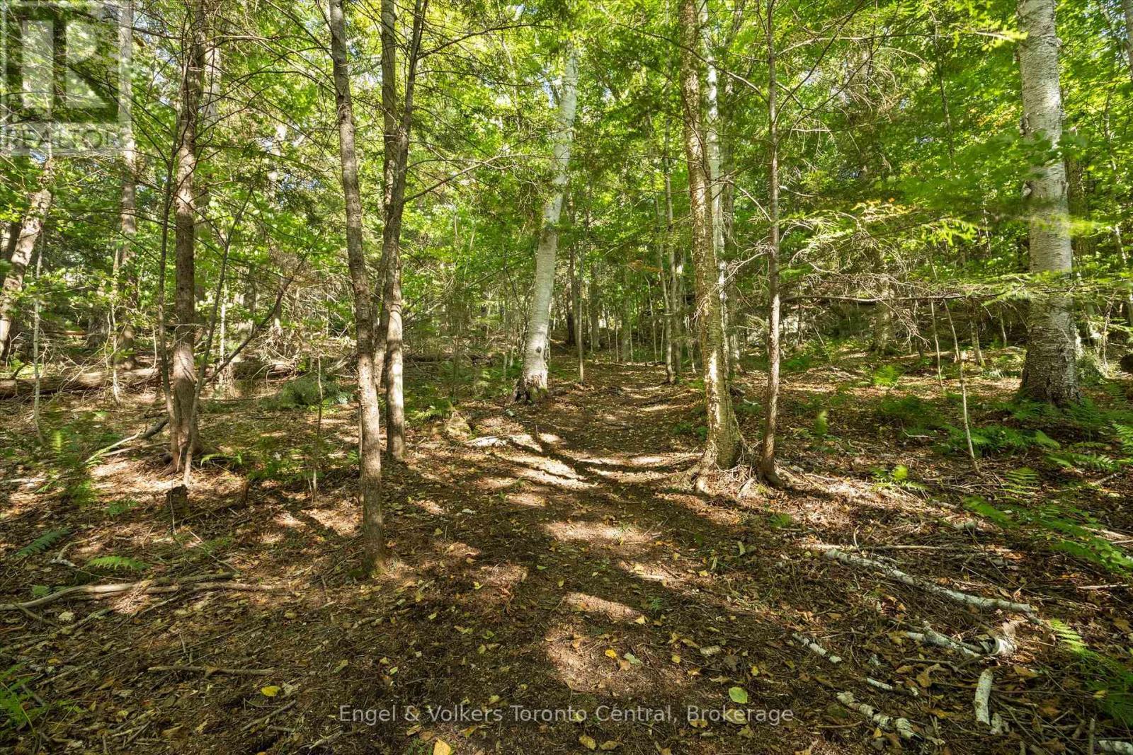 13 Hickory Crescent, Seguin, Ontario  P0C 1J0 - Photo 37 - X12387565