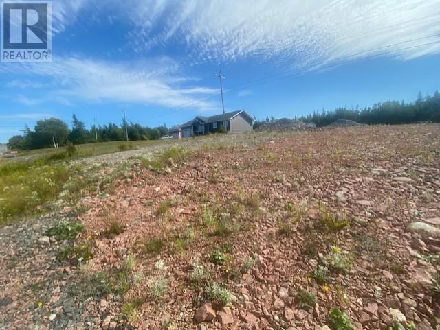 84 Main Road, Queen'a Cove, Newfoundland & Labrador  A0E 2B0 - Photo 6 - 1289995