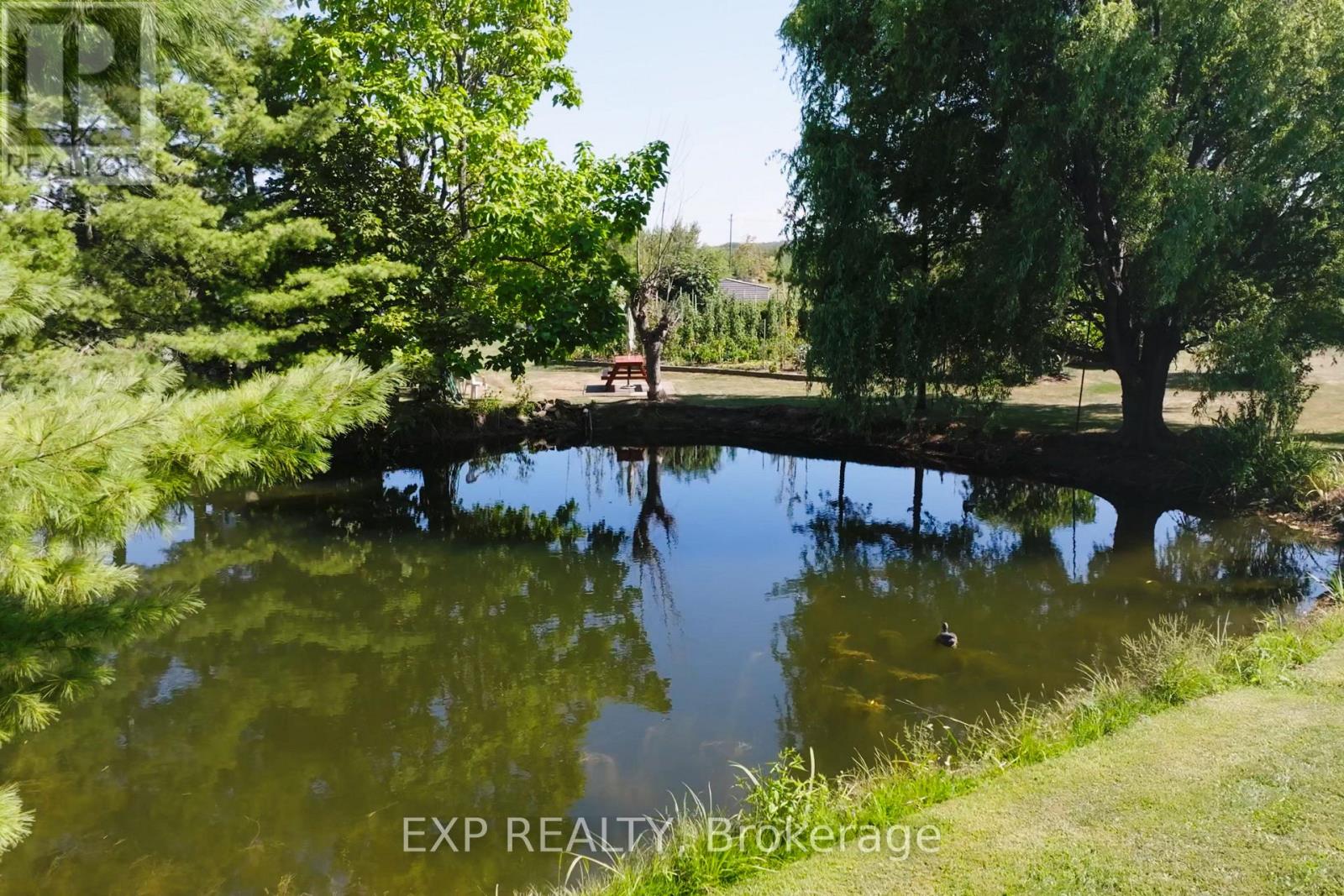 726 Line 7 Road, Niagara-On-The-Lake, Ontario  L0S 1J0 - Photo 46 - X12387655