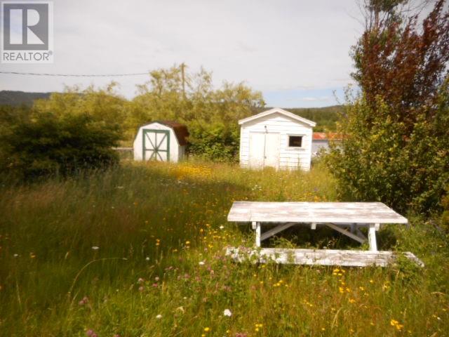 20 Main Street, Springdale, Newfoundland & Labrador  A0J 1T0 - Photo 4 - 1287589