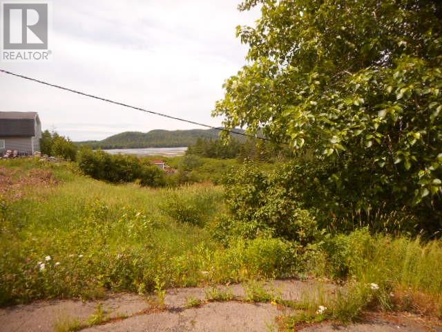 20 Main Street, Springdale, Newfoundland & Labrador  A0J 1T0 - Photo 5 - 1287589