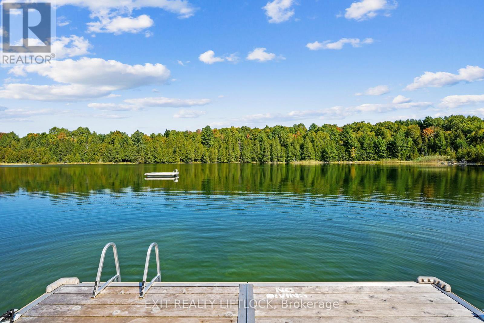 169 Dutch Line Road W, Kawartha Lakes, Ontario  K0M 2A0 - Photo 38 - X12387840