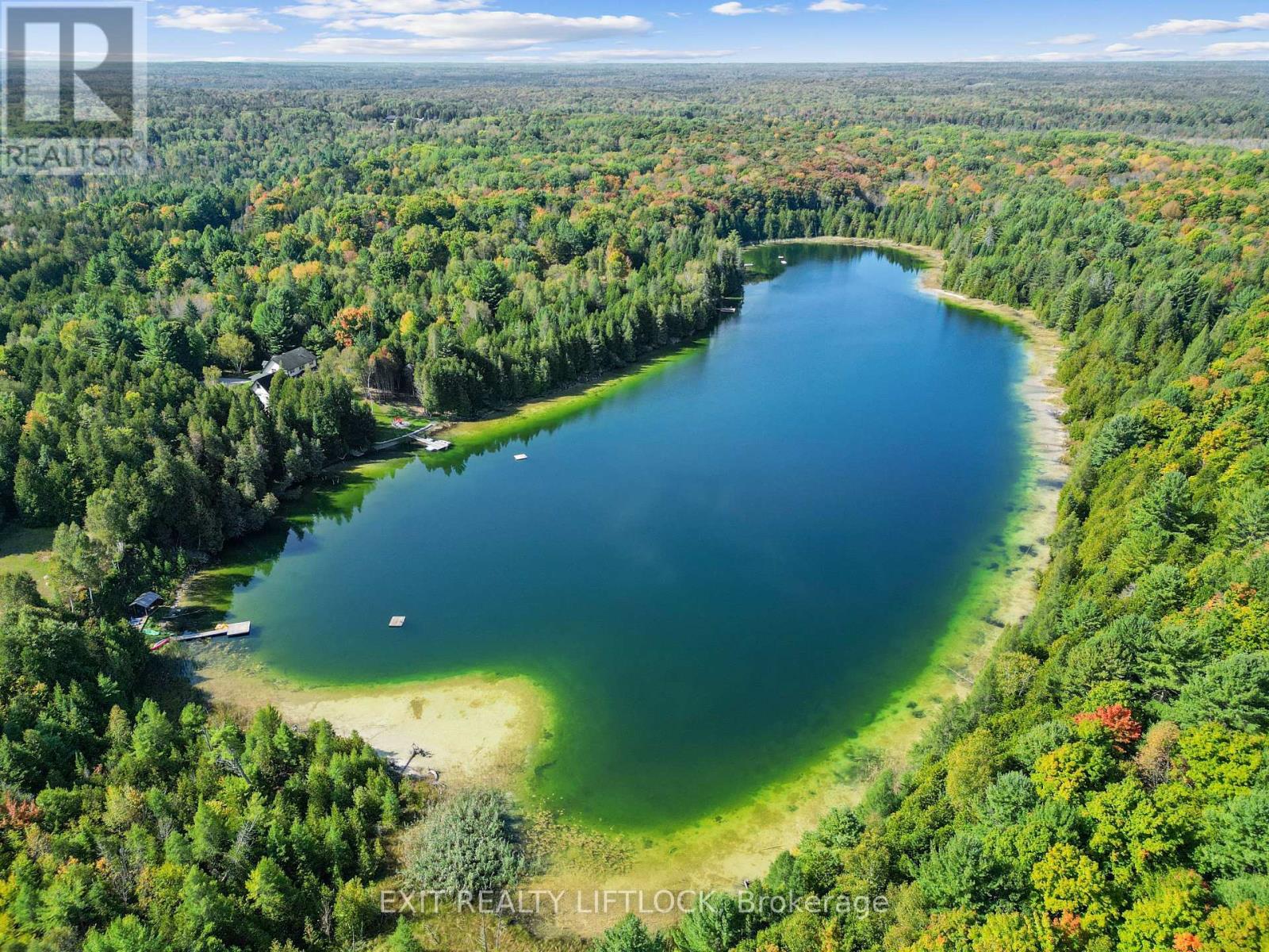 169 Dutch Line Road W, Kawartha Lakes, Ontario  K0M 2A0 - Photo 7 - X12387840