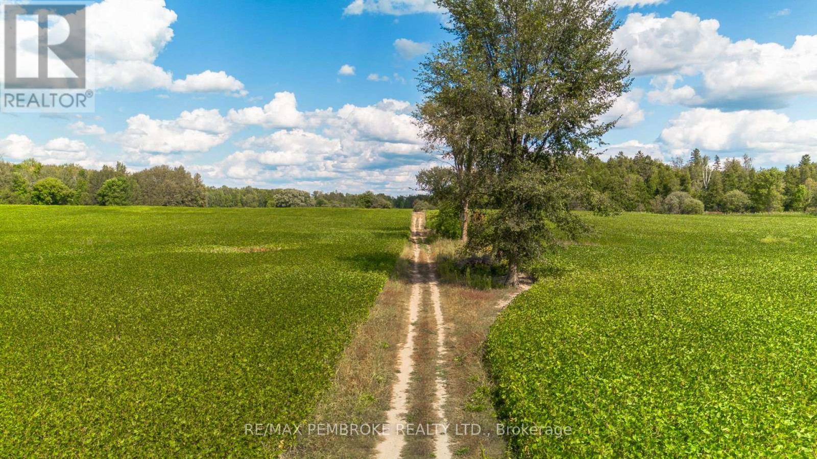 2252 Zion Line, Whitewater Region, Ontario  K8A 6W3 - Photo 3 - X12387879