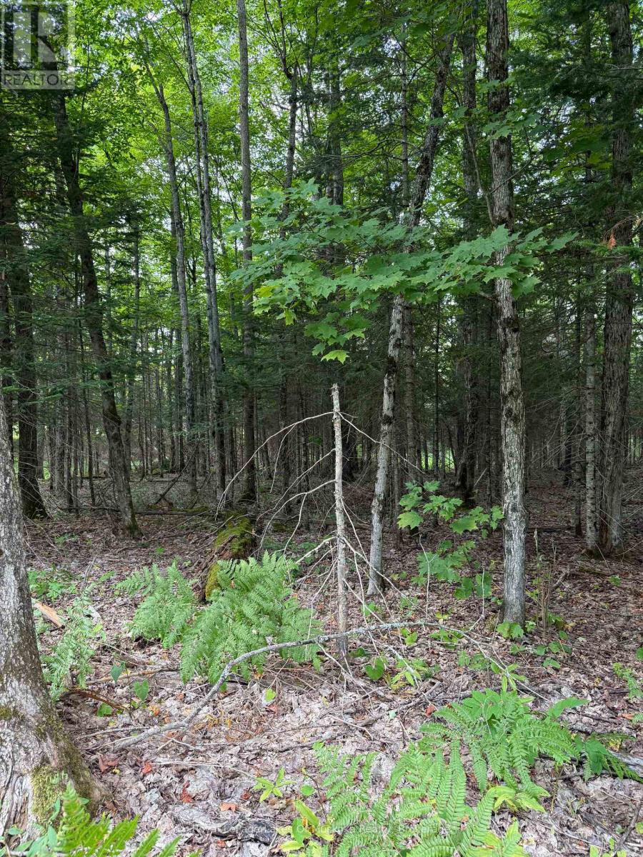 Lt 26 Frank St Street, Magnetawan, Ontario  P0A 1Z0 - Photo 10 - X12387843