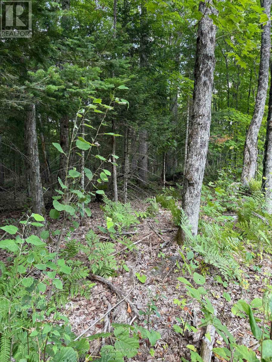 Lt 26 Frank St Street, Magnetawan, Ontario  P0A 1Z0 - Photo 9 - X12387843