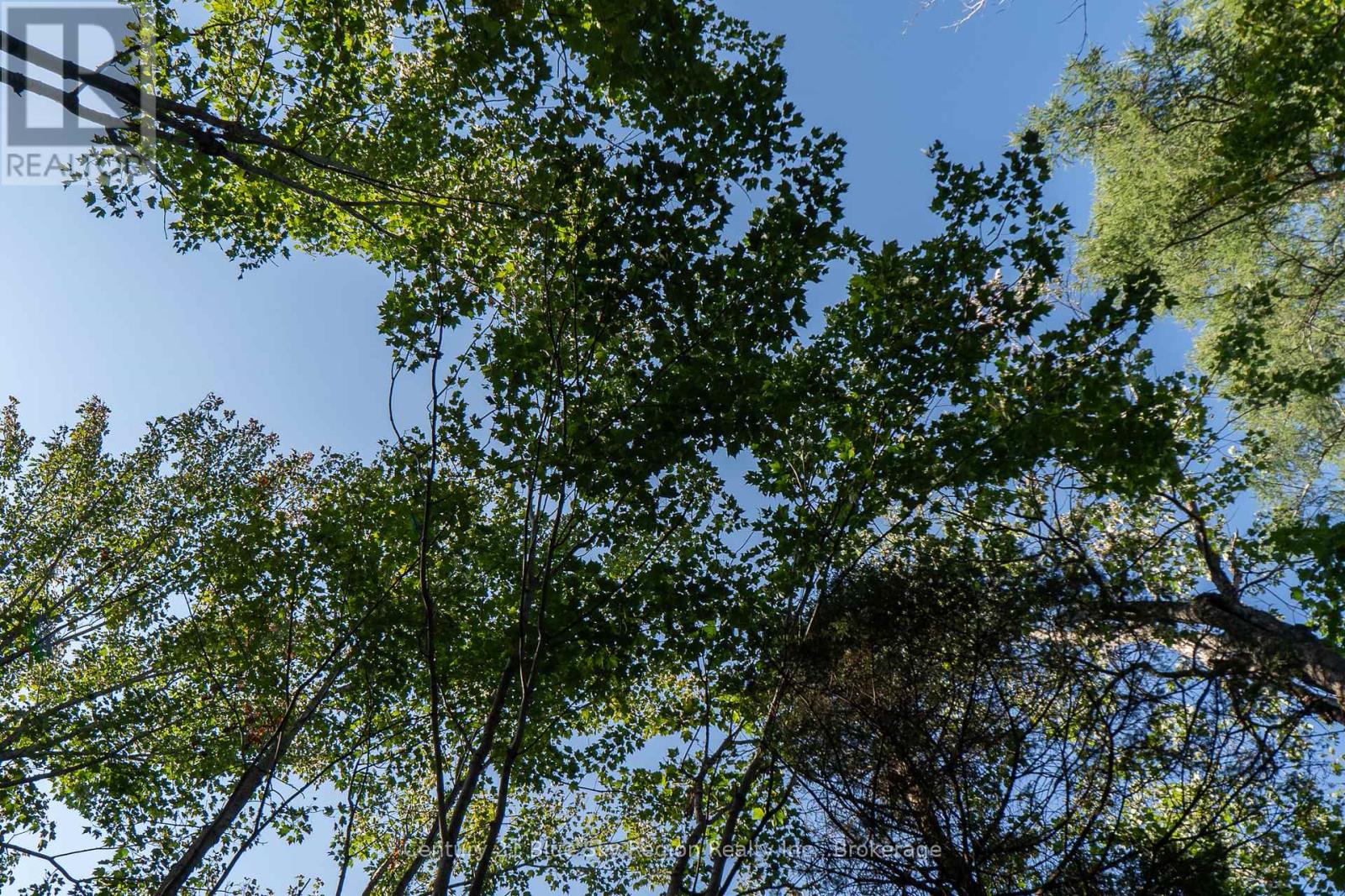 1060 Lot 7 Four Mile Lake Road, North Bay (Airport), Ontario  P1B 8G2 - Photo 18 - X12387802