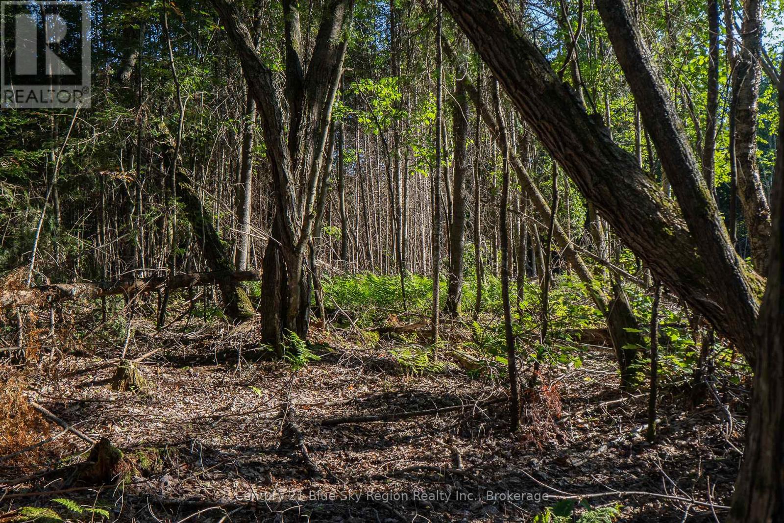 1060 Lot 7 Four Mile Lake Road, North Bay (Airport), Ontario  P1B 8G2 - Photo 19 - X12387802