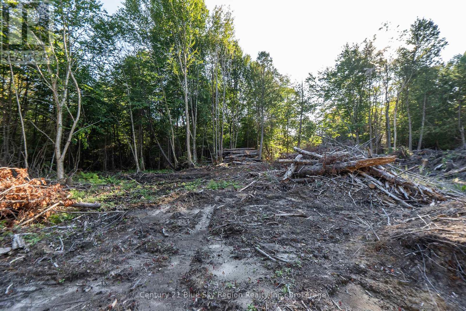 1060 Lot 7 Four Mile Lake Road, North Bay (Airport), Ontario  P1B 8G2 - Photo 21 - X12387802