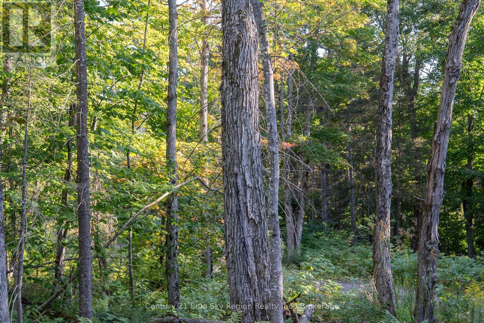 1060 Lot 7 Four Mile Lake Road, North Bay (Airport), Ontario  P1B 8G2 - Photo 31 - X12387802