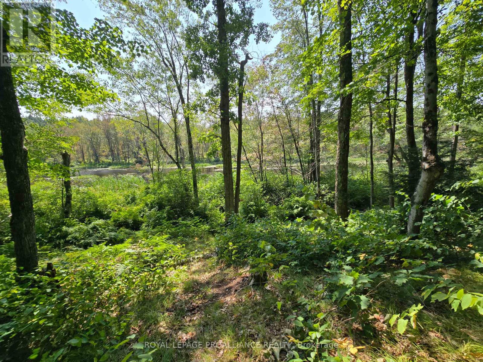 1255 Blue Heron Ridge, Central Frontenac, Ontario  K0H 1B0 - Photo 13 - X12387175