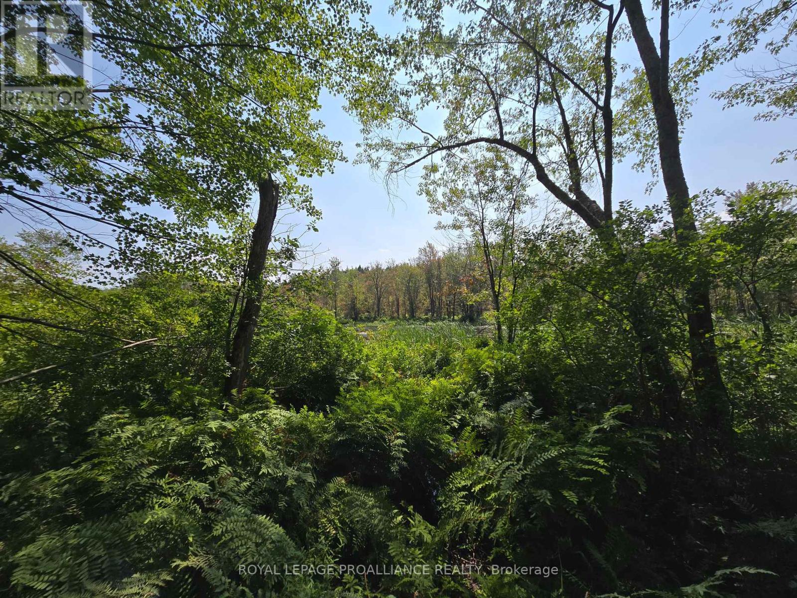 1255 Blue Heron Ridge, Central Frontenac, Ontario  K0H 1B0 - Photo 11 - X12387175