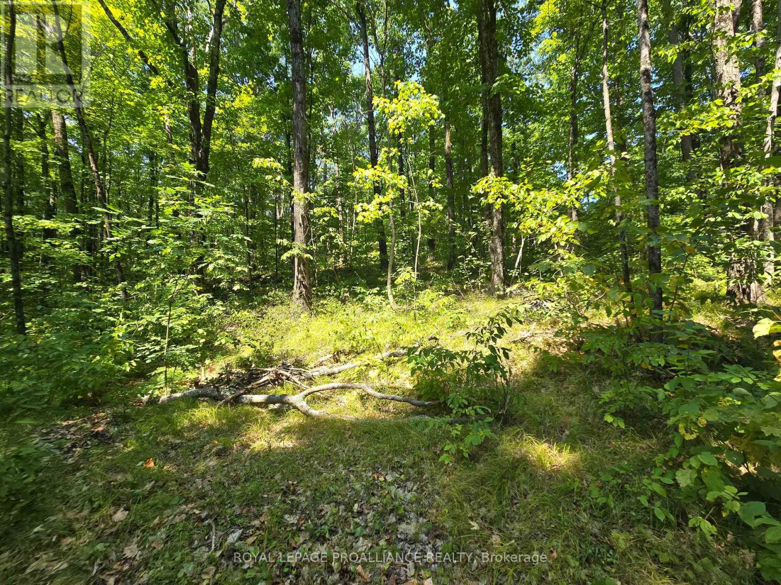 1255 Blue Heron Ridge, Central Frontenac, Ontario  K0H 1B0 - Photo 15 - X12387175