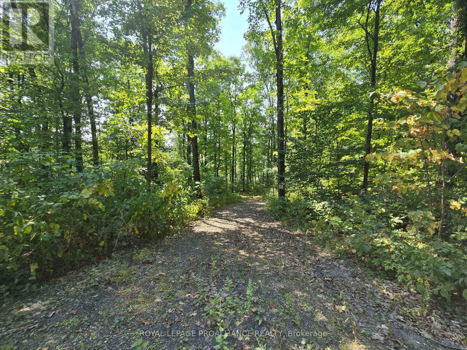 1255 Blue Heron Ridge, Central Frontenac, Ontario  K0H 1B0 - Photo 18 - X12387175