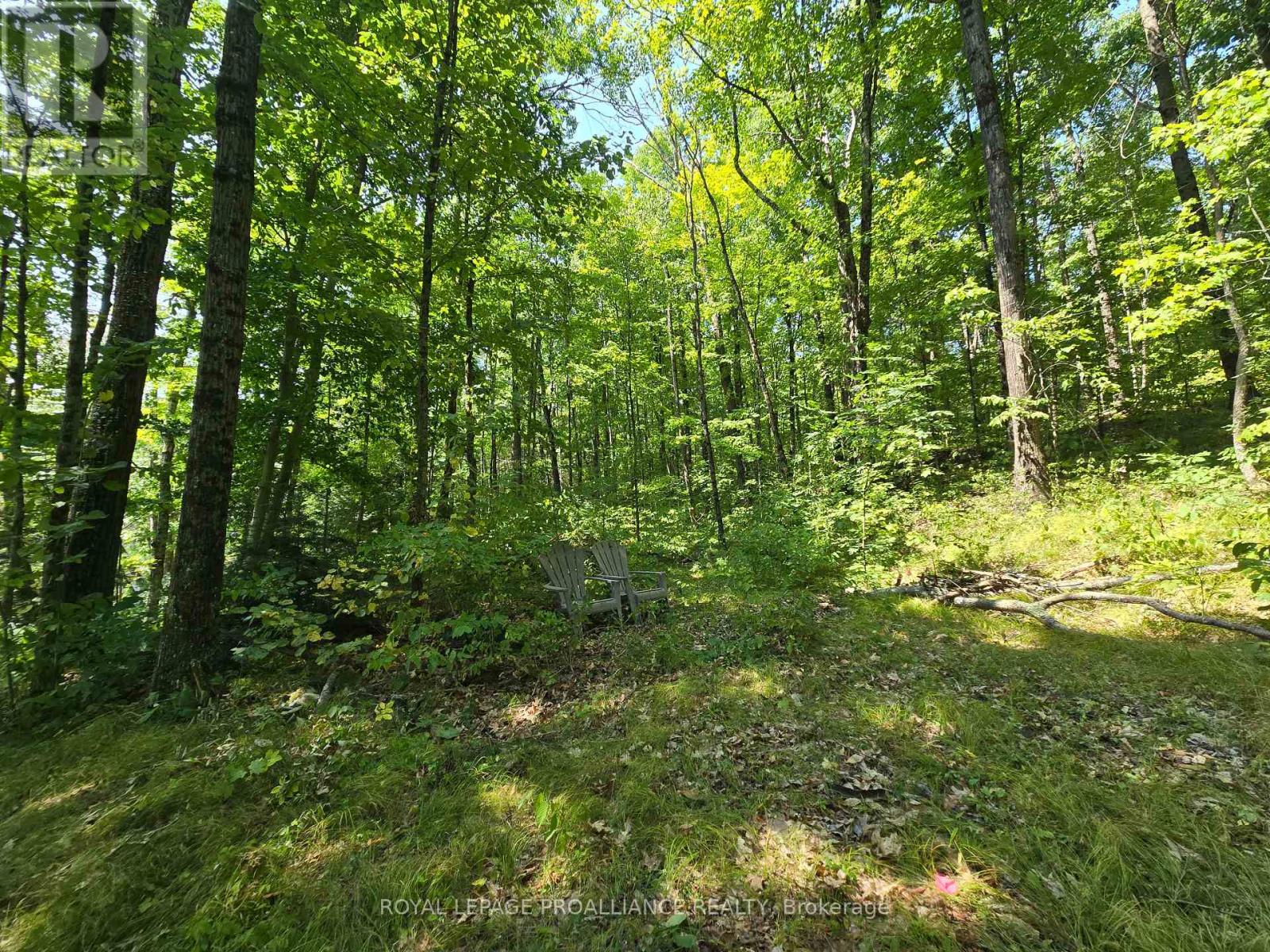 1255 Blue Heron Ridge, Central Frontenac, Ontario  K0H 1B0 - Photo 2 - X12387175