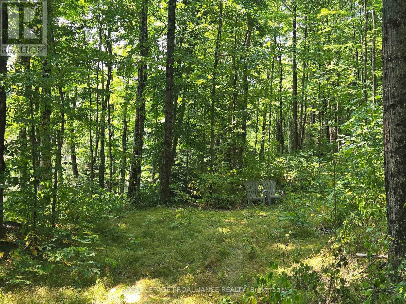 1255 Blue Heron Ridge, Central Frontenac, Ontario  K0H 1B0 - Photo 23 - X12387175