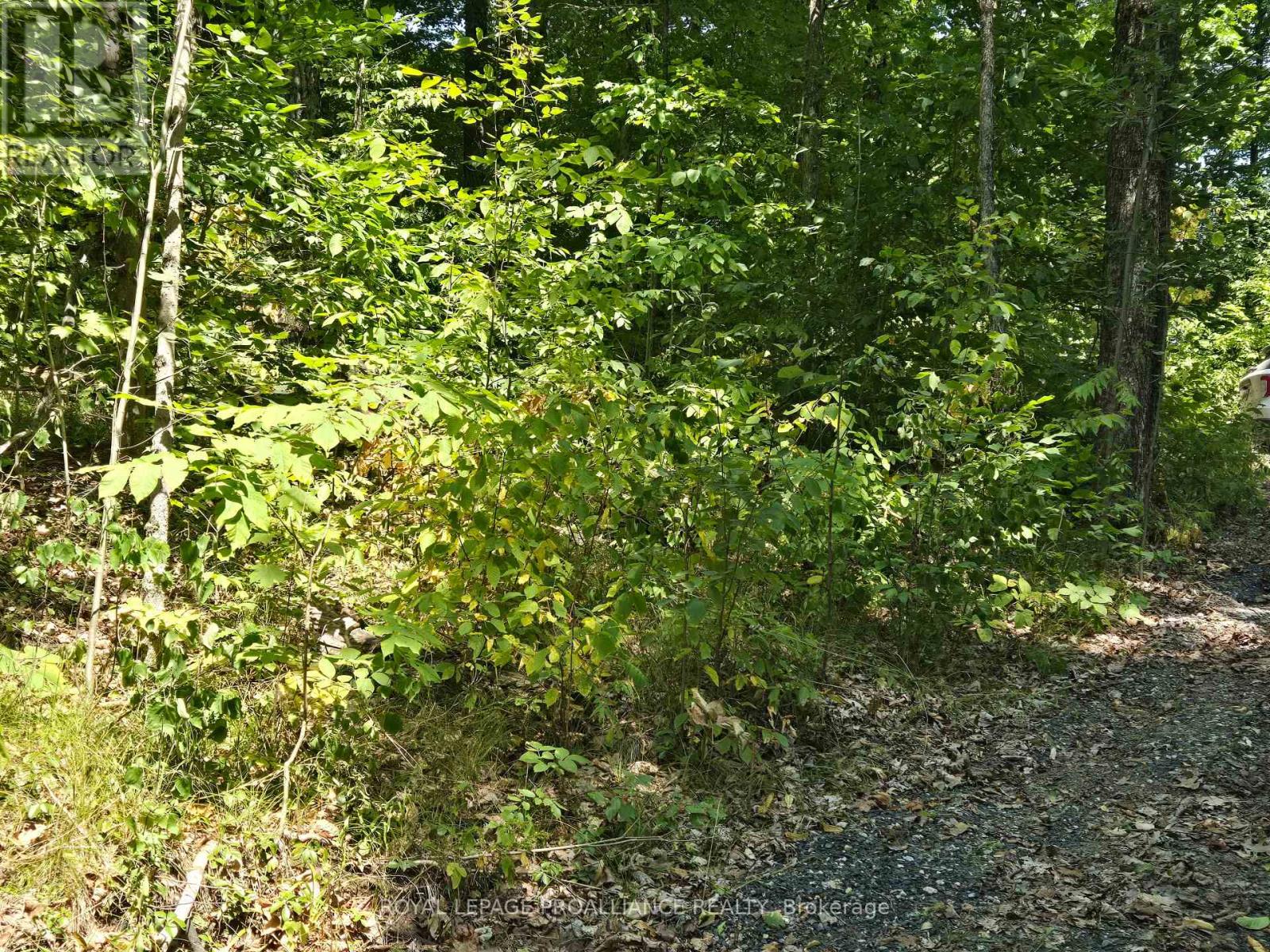 1255 Blue Heron Ridge, Central Frontenac, Ontario  K0H 1B0 - Photo 25 - X12387175