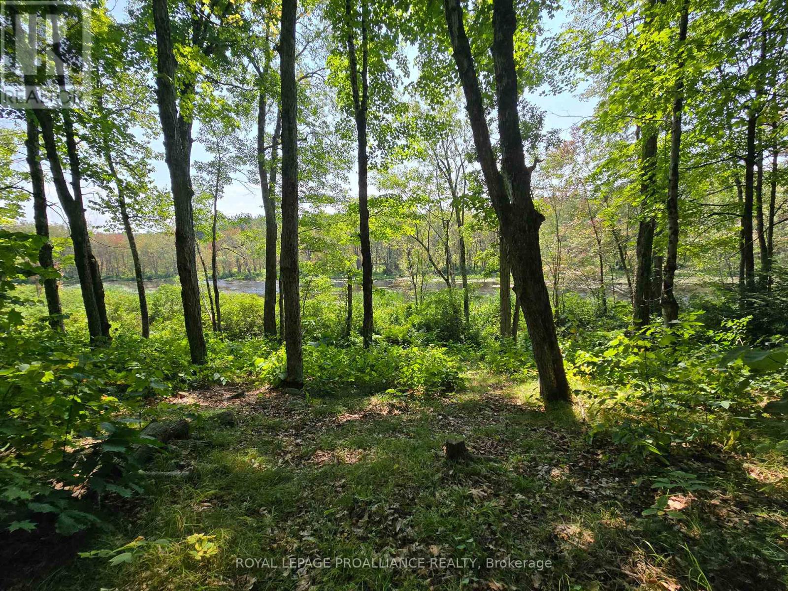 1255 Blue Heron Ridge, Central Frontenac, Ontario  K0H 1B0 - Photo 4 - X12387175