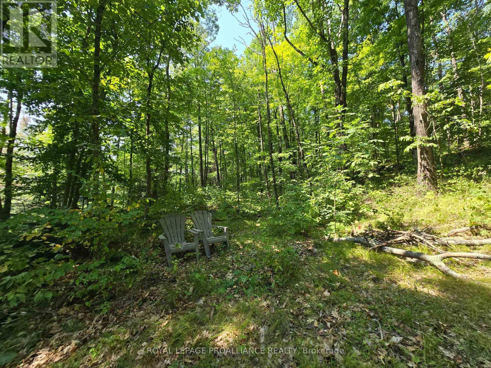 1255 Blue Heron Ridge, Central Frontenac, Ontario  K0H 1B0 - Photo 14 - X12387175