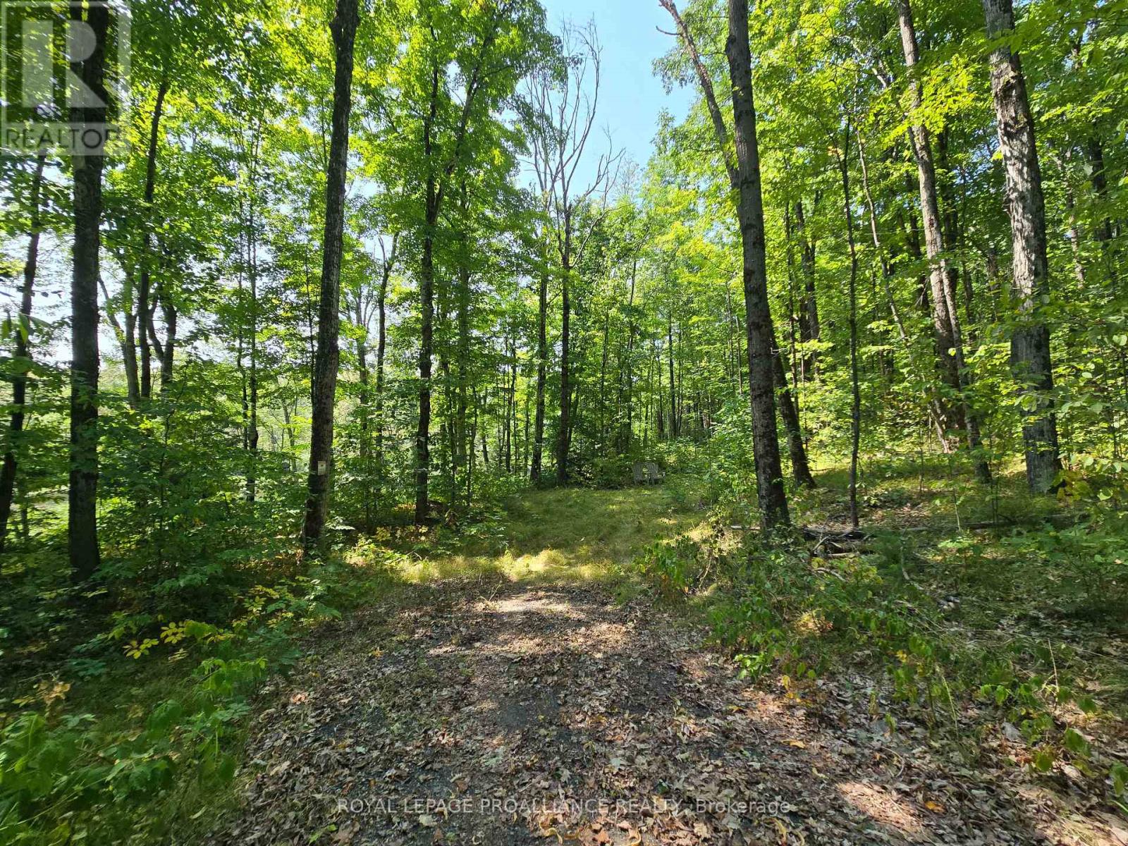 1255 Blue Heron Ridge, Central Frontenac, Ontario  K0H 1B0 - Photo 22 - X12387175