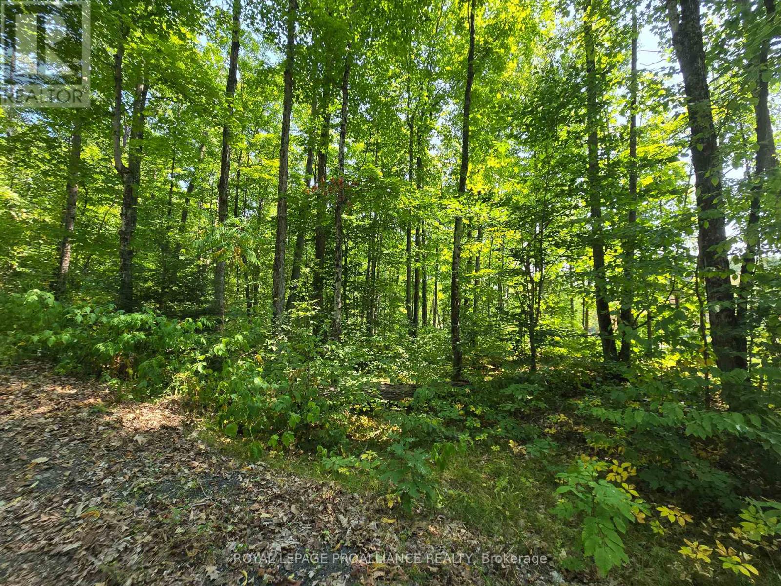 1255 Blue Heron Ridge, Central Frontenac, Ontario  K0H 1B0 - Photo 17 - X12387175