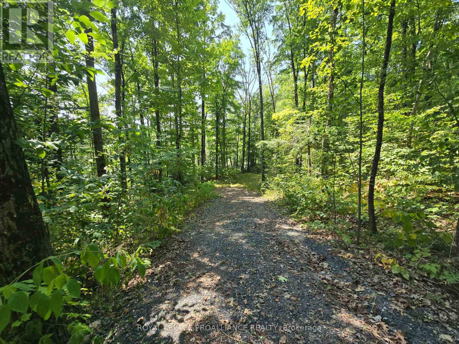 1255 Blue Heron Ridge, Central Frontenac, Ontario  K0H 1B0 - Photo 19 - X12387175