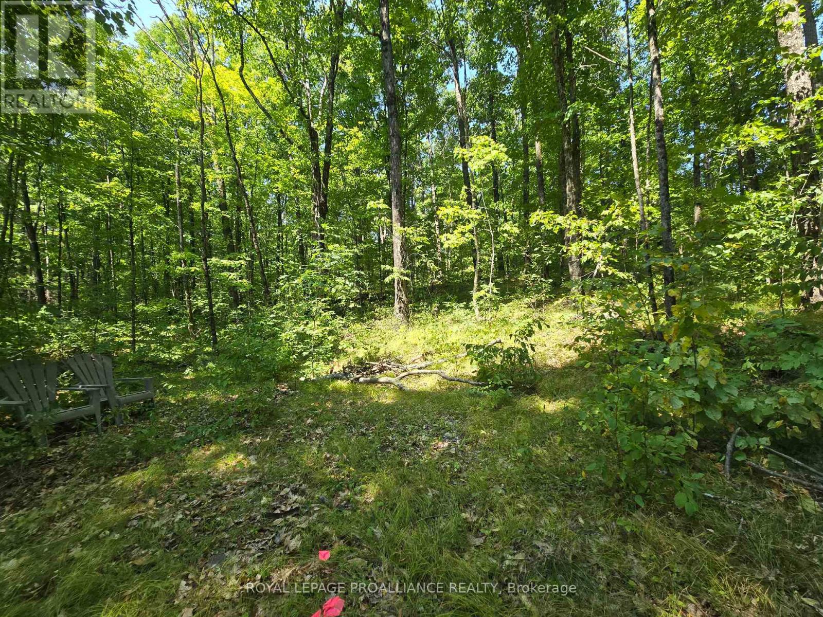 1255 Blue Heron Ridge, Central Frontenac, Ontario  K0H 1B0 - Photo 3 - X12387175