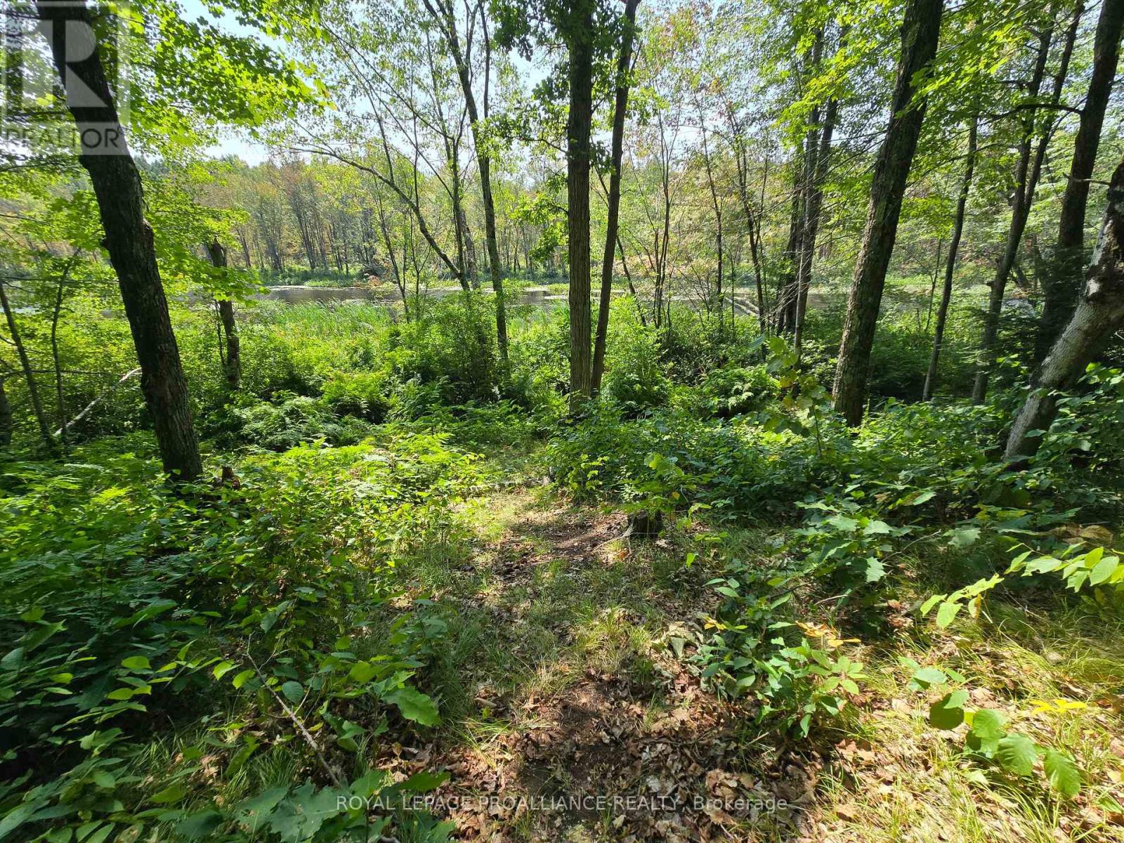 1255 Blue Heron Ridge, Central Frontenac, Ontario  K0H 1B0 - Photo 5 - X12387175