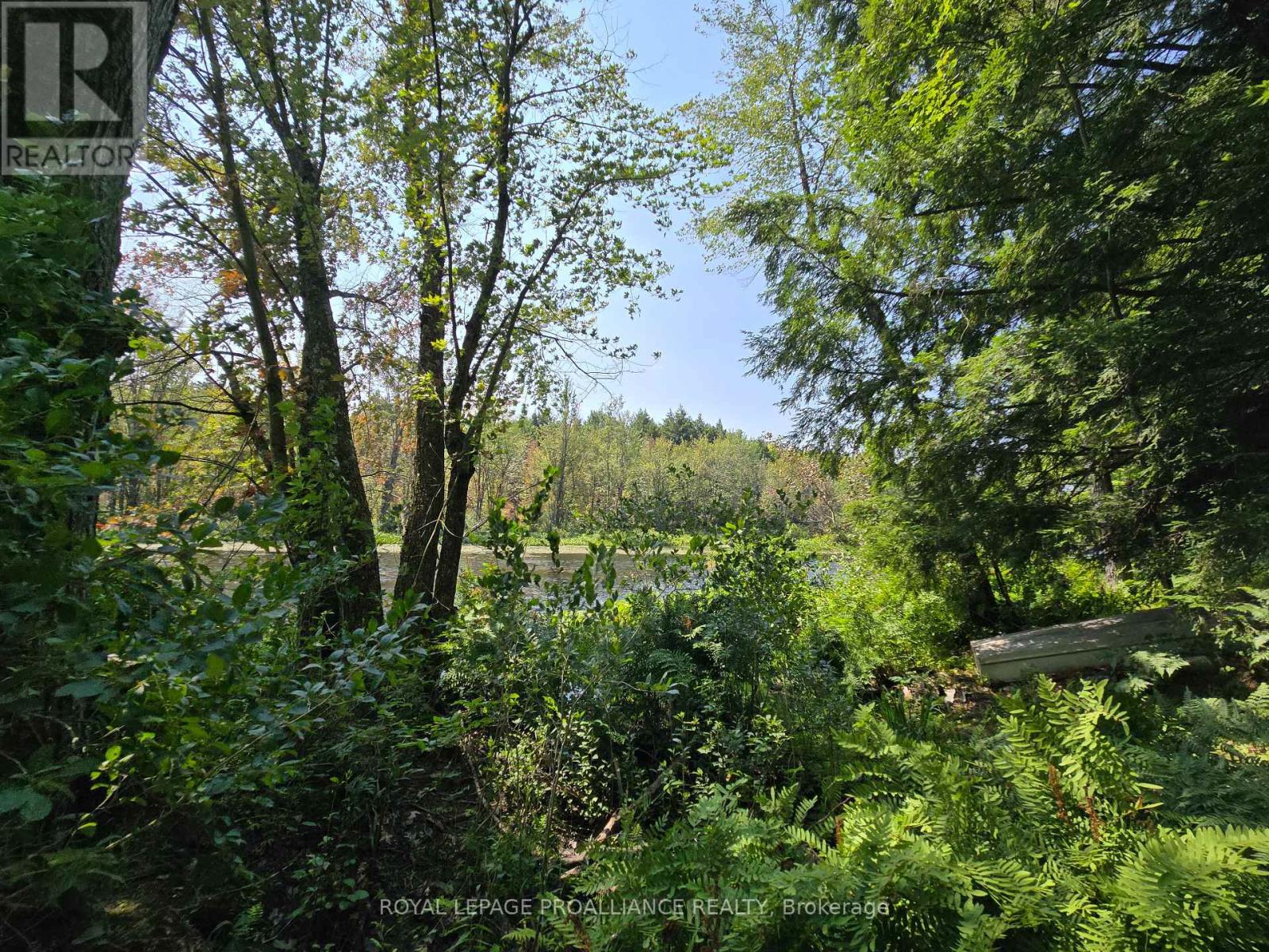 1255 Blue Heron Ridge, Central Frontenac, Ontario  K0H 1B0 - Photo 8 - X12387175