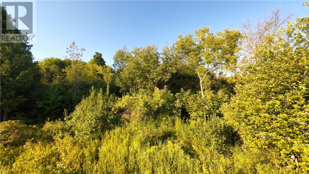 Part 3 & 4 Water Street, Little Current, Ontario  P0P 1K0 - Photo 6 - 2123891