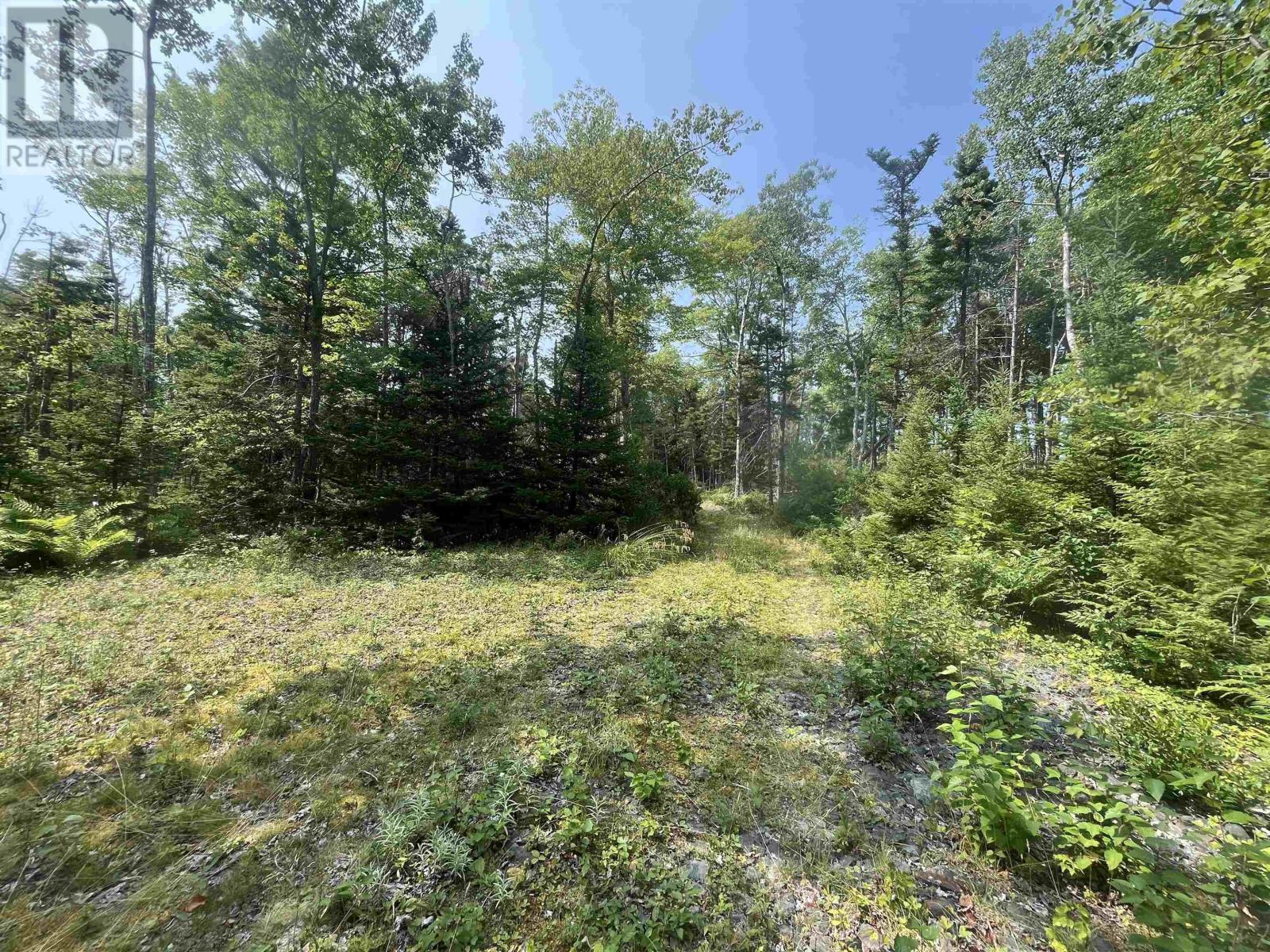 Lot 16 West Bay Highway, Roberta, Nova Scotia  B0E 3K0 - Photo 9 - 202519958