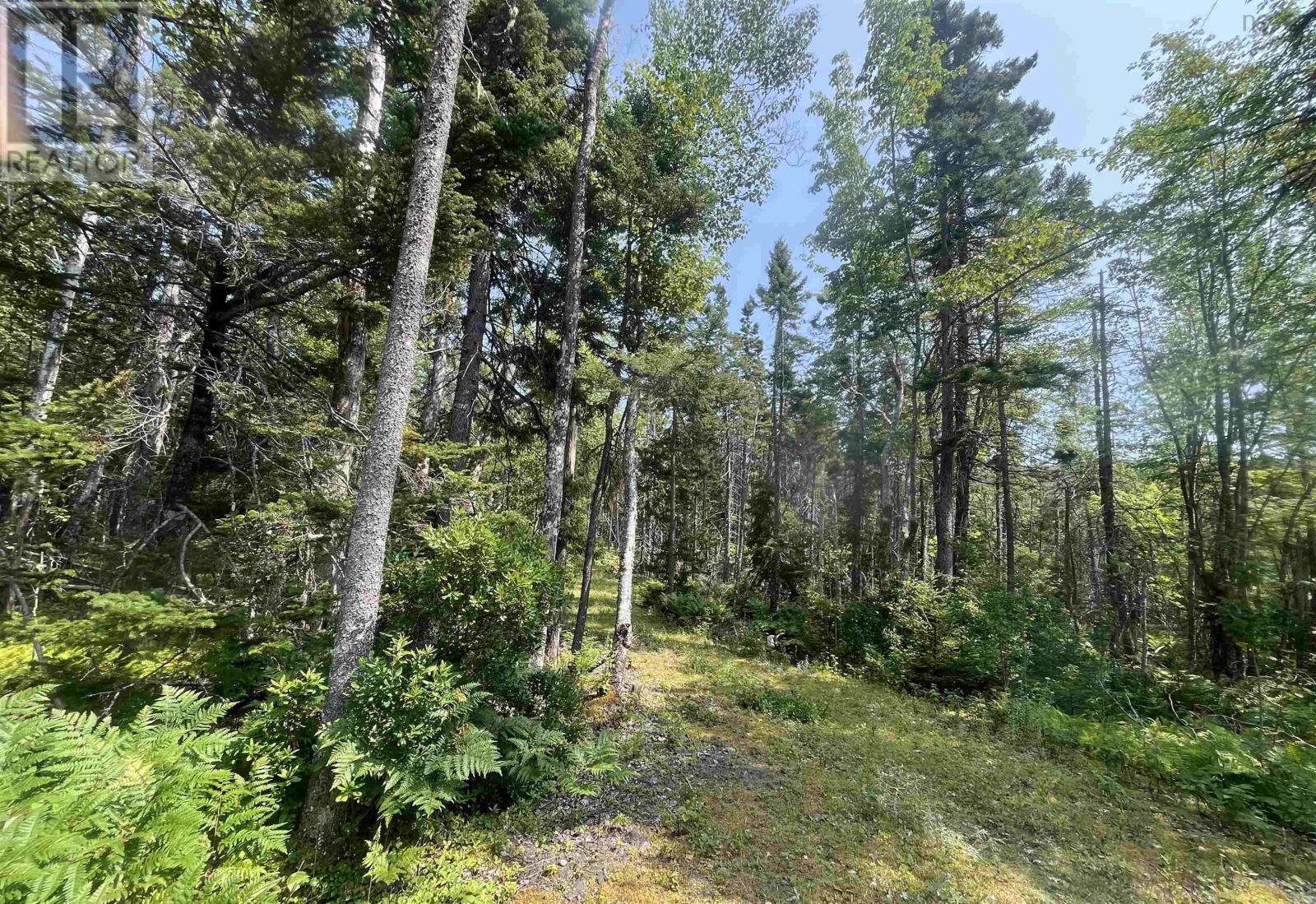 Lot 16 West Bay Highway, Roberta, Nova Scotia  B0E 3K0 - Photo 10 - 202519958