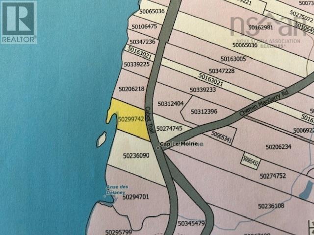 Cabot Trail, Cap Le Moine, Nova Scotia  B0E 1H0 - Photo 11 - 202521046