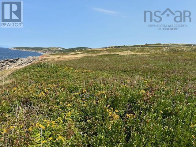 Cabot Trail, Cap Le Moine, Nova Scotia  B0E 1H0 - Photo 4 - 202521046
