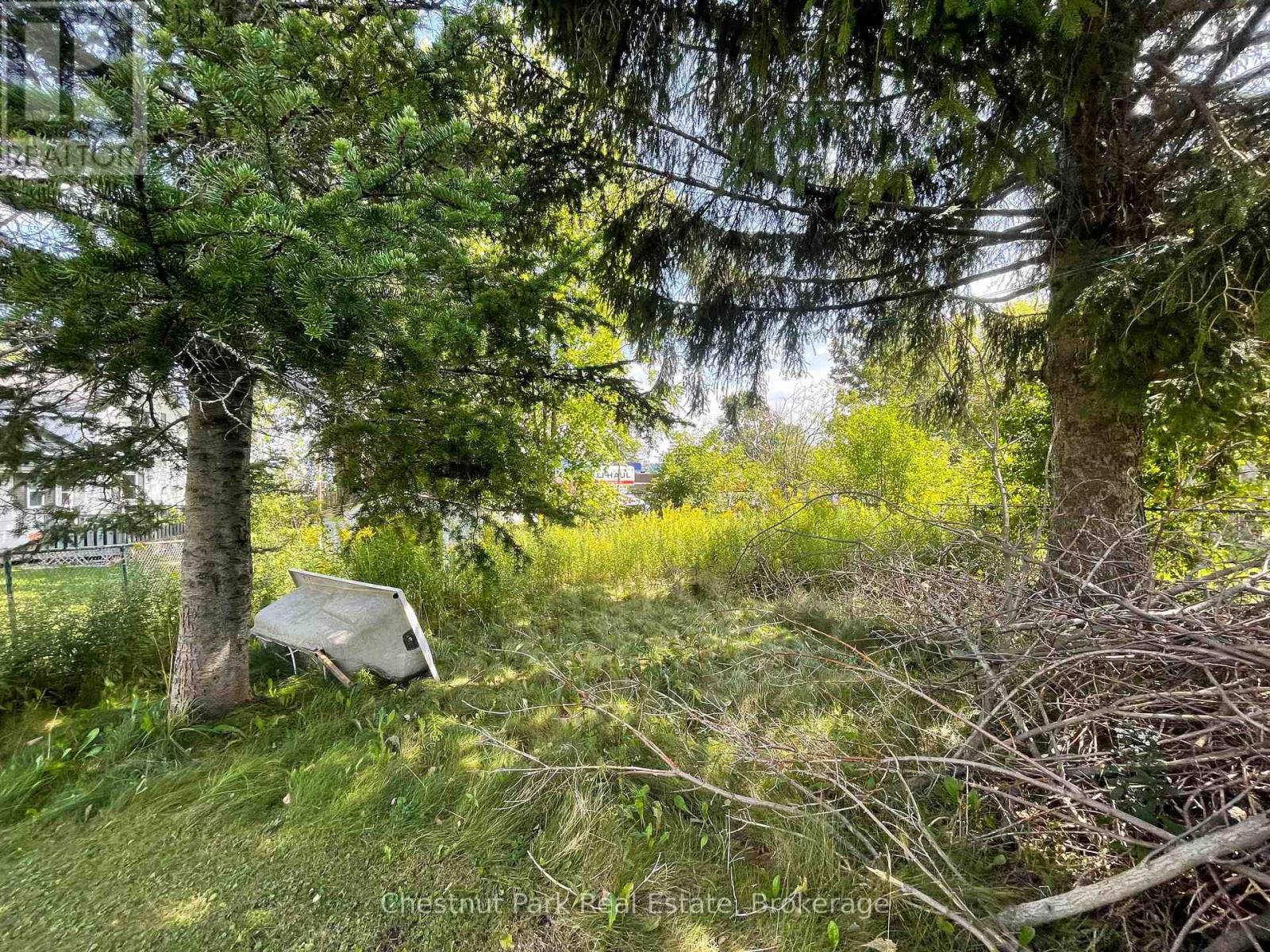 383 Thompson Street, Meaford, Ontario  N4L 1H7 - Photo 17 - X12387994