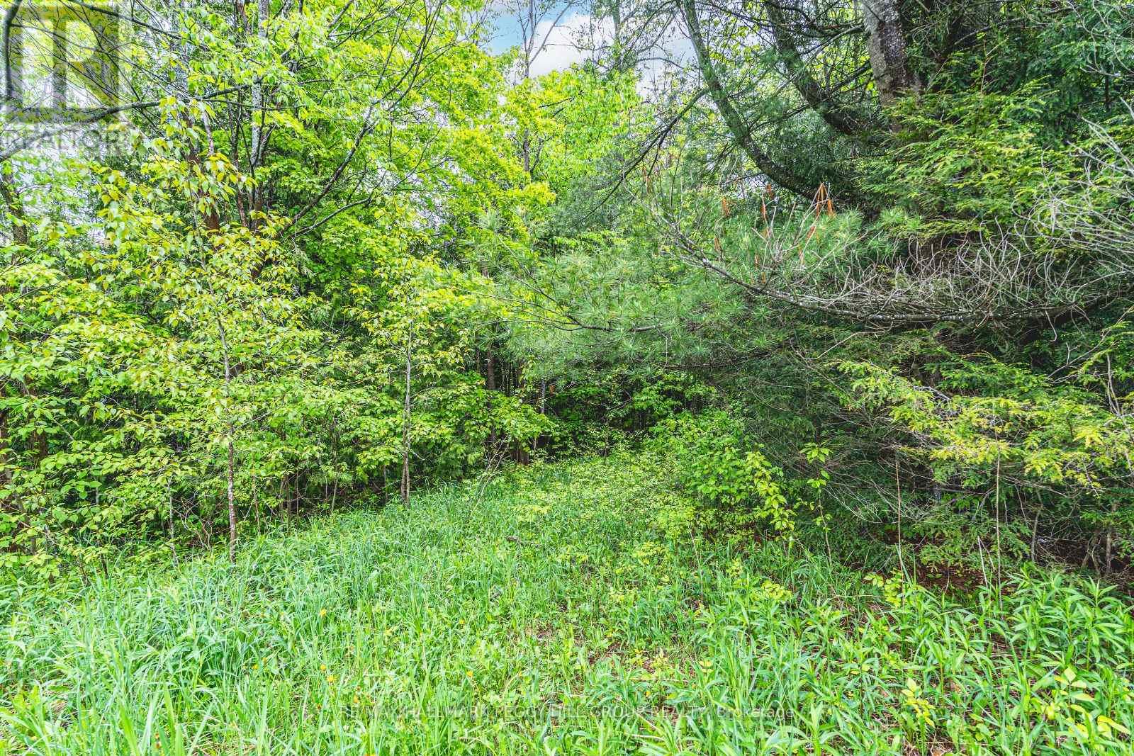 Lt23&24 Con 8, Oro-Medonte, Ontario  L0K 2C0 - Photo 7 - S12387798