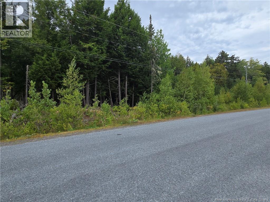 Lot Country Wood Lane, Richibucto Road, New Brunswick  E3A 0X7 - Photo 3 - NB126276