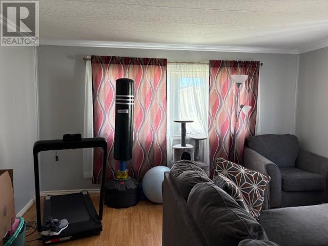 5 Harbourview Crescent, Stephenville, Newfoundland & Labrador  A2N 3L3 - Photo 11 - 1290116
