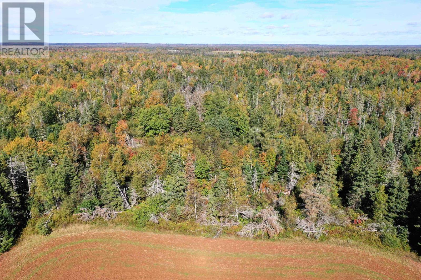 Acreage Cape Bear Road, White Sands, Prince Edward Island  C0A 1W0 - Photo 28 - 202521861