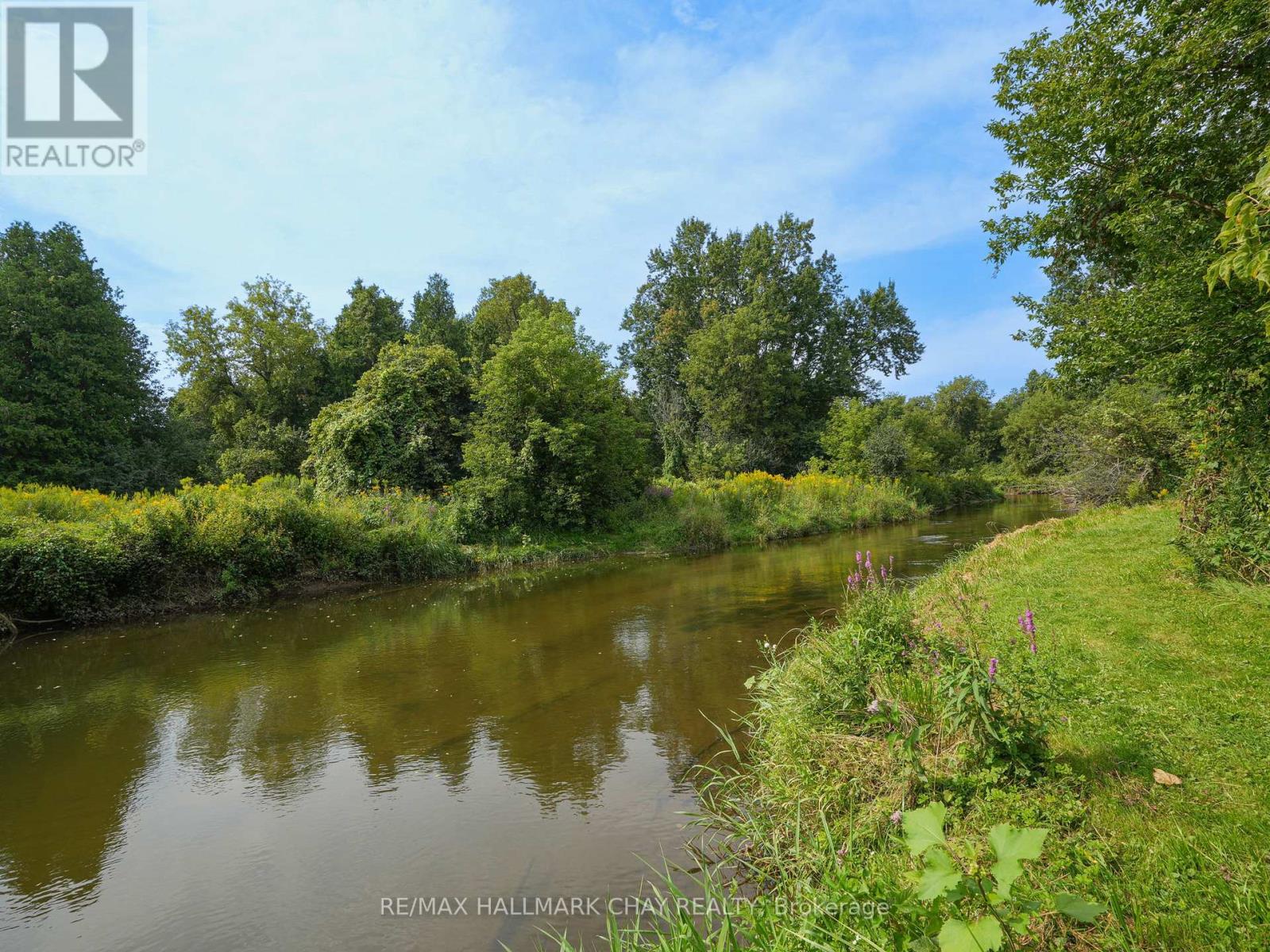 4146 Concession 7 Road, Adjala-Tosorontio, Ontario  L0G 1L0 - Photo 36 - N12388080