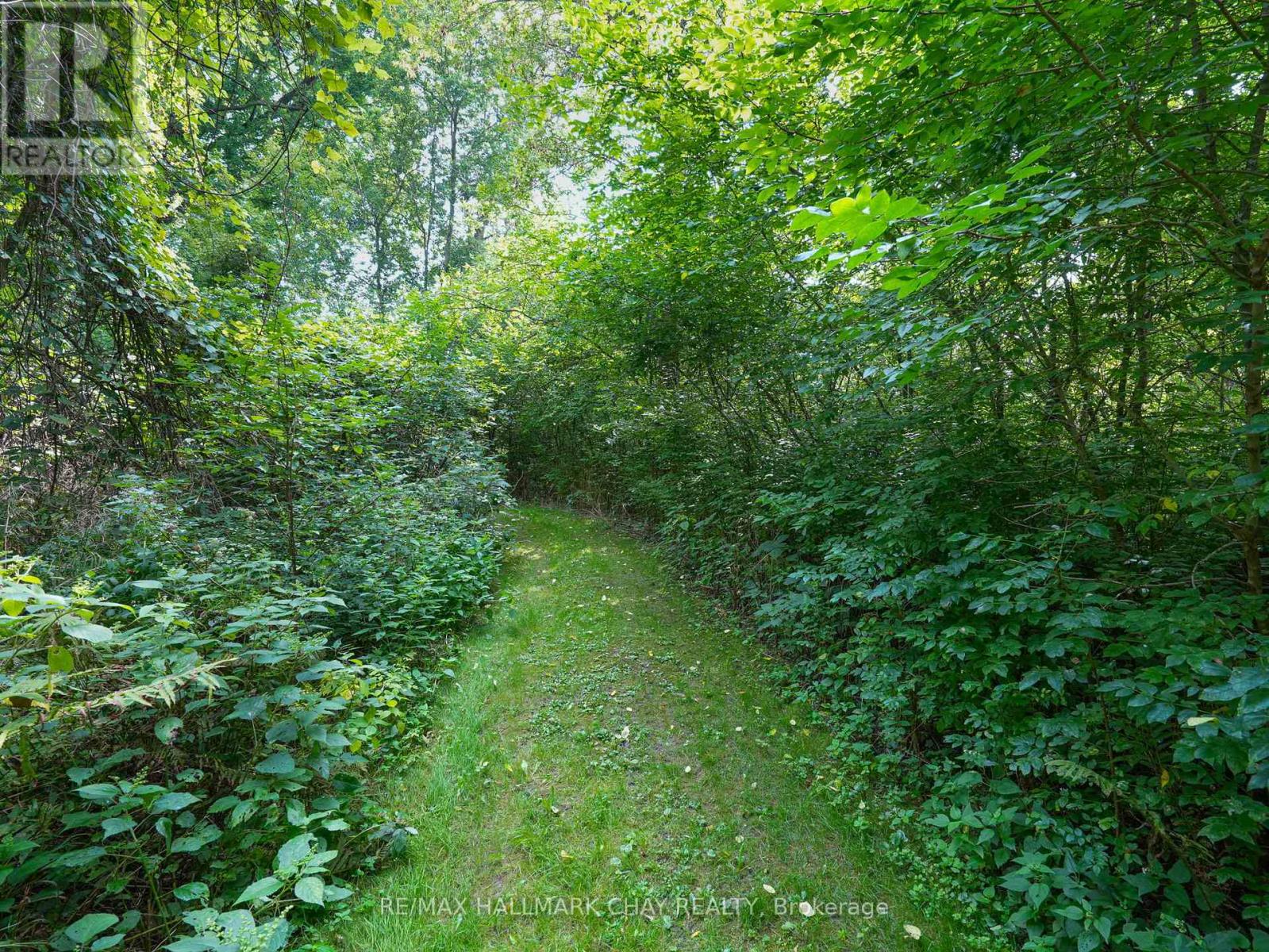 4146 Concession 7 Road, Adjala-Tosorontio, Ontario  L0G 1L0 - Photo 37 - N12388080