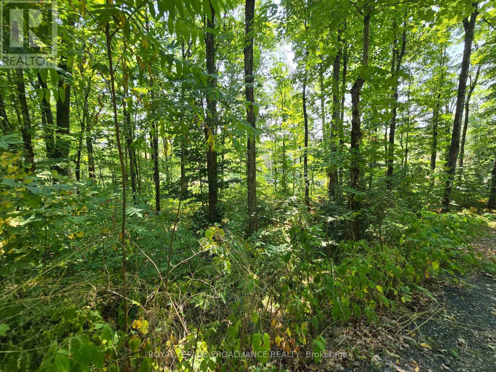 1255 Blue Heron Ridge, Central Frontenac, Ontario  K0H 1B0 - Photo 21 - X12387175