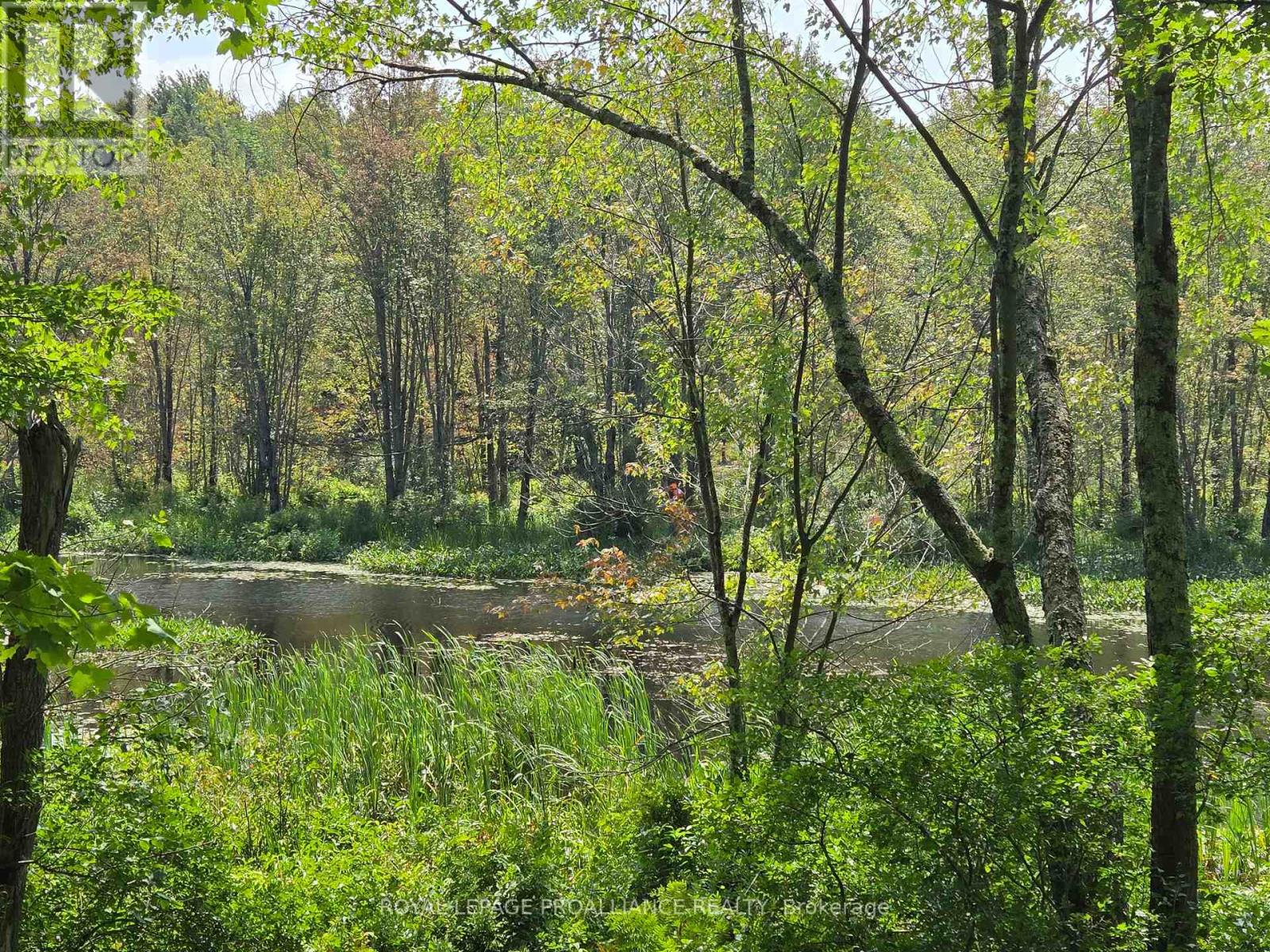 1255 Blue Heron Ridge, Central Frontenac, Ontario  K0H 1B0 - Photo 7 - X12387175